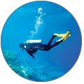 scuba
