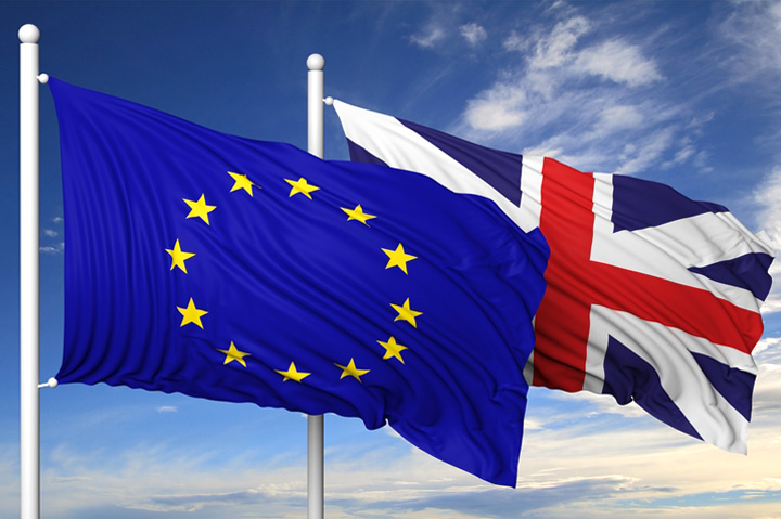 ASI Research Exclusive: European Distributors’ Annual Sales Rise in 2024, Topping $14.24B